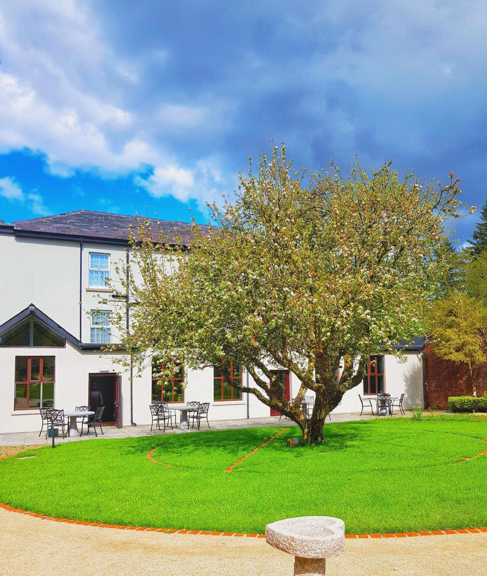 Newbay House Wexford Guest House Exterior photo